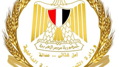 الدواجن المجمدة بـ115 جنيهًا.. “الصناعات الغذائية” تضخ كميات كبيرة في منافذ “أهلًا رمضان”