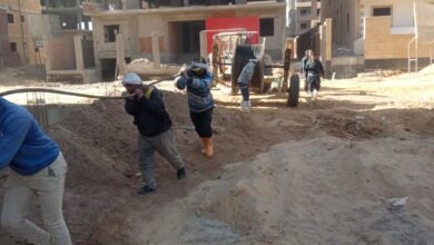 محمد عادل: إطلاق التيار الكهربائي في 7 غرف بالحي التاسع في 6 أكتوبر محمد عادل: إطلاق التيار الكهربائي في 7 غرف بالحي التاسع في 6 أكتوبر