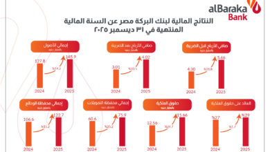 بالإنفوجراف.. بنك البركة – مصر يختتم 2025 بنتائج مالية تعكس نموًا بنسبة 33.5% في صافي الأرباح