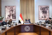 رئيس الوزراء يستعرض الموقف التنفيذي للمشروعات الجارية بالقاهرة بالتنسيق مع الهيئة الهندسية
