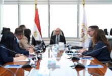 وزير الاستثمار يبحث مع مجموعة “هيميلي” الصينية إقامة مصنع لإنتاج قوالب الإطارات في مصر