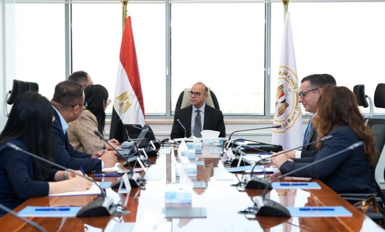 وزير الاستثمار يبحث مع مجموعة “هيميلي” الصينية إقامة مصنع لإنتاج قوالب الإطارات في مصر