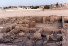 اكتشاف مدينة سكنية من القرن الثامن عشر وجبانة قبطية في موقع شيخ العرب همام بقنا