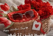 بنك saib يحتفل بالفلانتين بعرض تقسيط حتى 12 شهرًا على Terry Optics