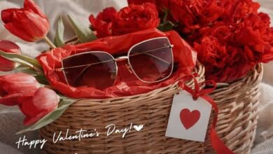 بنك saib يحتفل بالفلانتين بعرض تقسيط حتى 12 شهرًا على Terry Optics