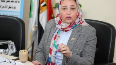 عبير عصام تدعو لتمثيل أقوى لسيدات الأعمال في مجلس الأعمال المصري التركي وتعزيز التعاون الاقتصادي المستدام