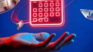 البنك المصري لتنمية الصادرات يطرح حسابًا جاريًا بعائد يومي 15.25%