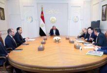 السيسي يبحث مع رئيس GCL الصينية توطين صناعة الطاقة المتجددة في مصر