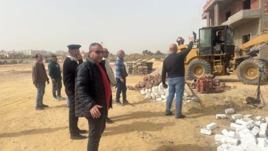 العبور الجديدة: إزالة مخالفات على 24 فدانًا