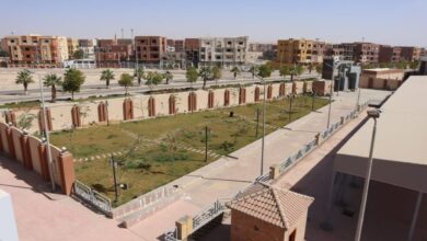 وزيرة الإسكان تتابع مشروعات مدن الصعيد الجديدة وتؤكد الالتزام بالجداول الزمنية وزيرة الإسكان تتابع مشروعات مدن الصعيد الجديدة وتؤكد الالتزام بالجداول الزمنية