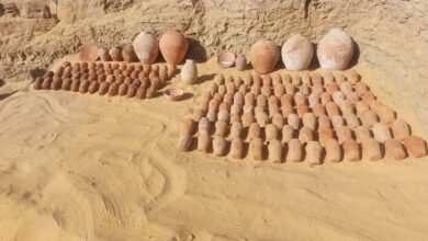 الكشف عن مجموعة من المقابر الصخرية بمنطقة قبة الهواء بأسوان