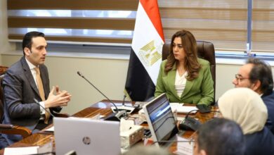 وزيرة التنمية المحلية تبحث مع «سكاتك» النرويجية مشروعات الطاقة المتجددة بالمحافظات