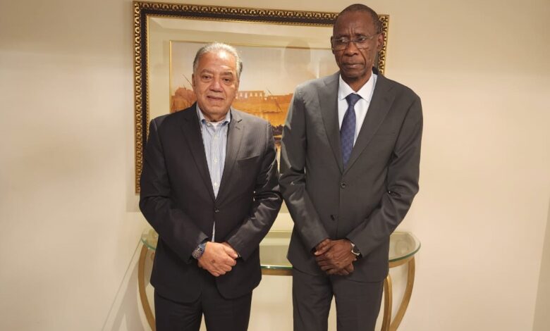 شراكة استراتيجية وانطلاقة صناعية جديدة بين مصر والسنغال