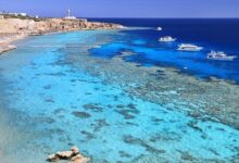 «جلوبال إنتربرايز» تطلق أول مشروعاتها في مصر بفندق 900 غرفة على البحر الأحمر