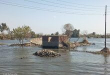 وزير الري يتابع إزالة التعديات على نهر النيل في محافظة الجيزة