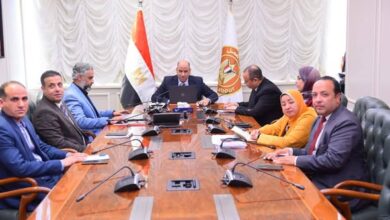 وزير العمل يعقد اجتماعًا مع محافظات القاهرة والجيزة والقليوبية والشرقية لتعزيز فرص التشغيل وتطوير التدريب المهني وزير العمل يعقد اجتماعًا مع محافظات القاهرة والجيزة والقليوبية والشرقية لتعزيز فرص التشغيل وتطوير التدريب المهني