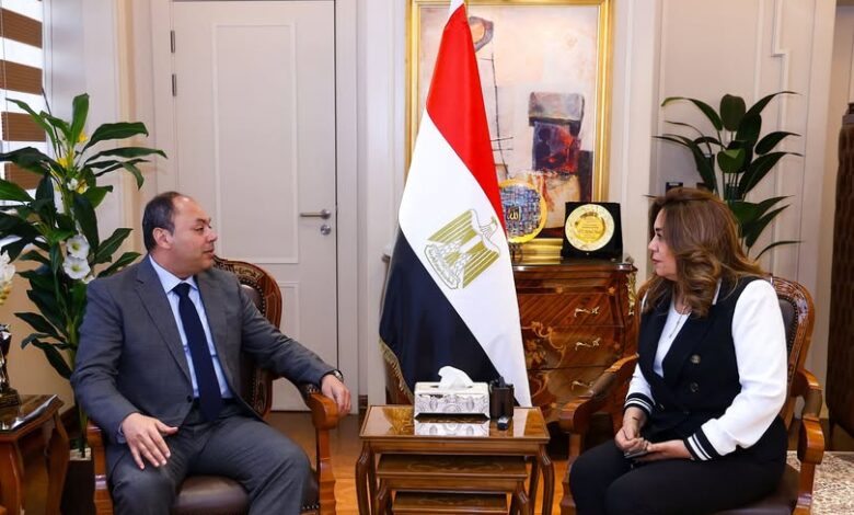 وزيرة التنمية المحلية تبحث مع رئيس هيئة تنمية الصعيد تسريع تنفيذ المشروعات ذات الأولوية وزيرة التنمية المحلية تبحث مع رئيس هيئة تنمية الصعيد تسريع تنفيذ المشروعات ذات الأولوية