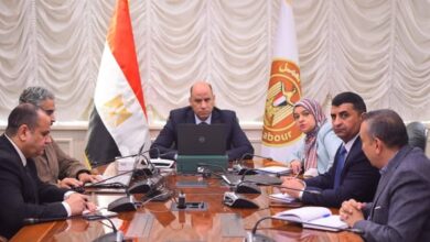 العمل: تكثيف المتابعة لأوضاع المصريين بالخارج وسط التوترات الإقليمية