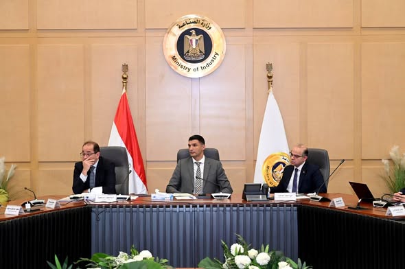 وزير الصناعة يبحث مع وزيري الاستثمار والمالية تعزيز صناعة السيارات بمصر