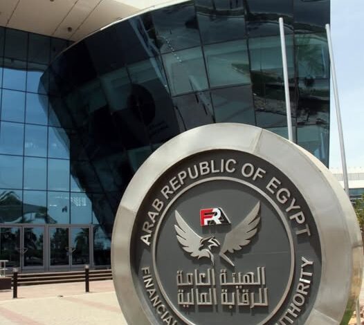 الرقابة المالية تطور ضوابط الترخيص واستمراره للوظائف الرئيسية بشركات التمويل غير المصرفي