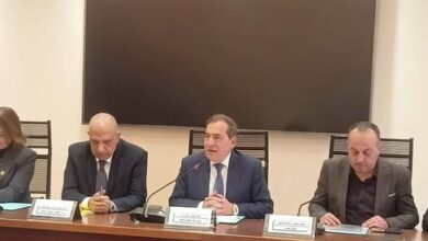 وزير الكهرباء: تأمين الإمداد بالطاقة الكهربائية وتوسيع الطاقات المتجددة