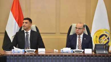 وزيرا الاستثمار والصناعة يبحثان استراتيجية تنمية قطاع الصناعات الطبية والدوائية