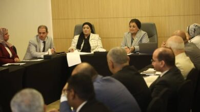 نائب وزير الصحة تتابع مؤشرات تنمية الأسرة ومستهدفات القضية السكانية 2025/ 2026