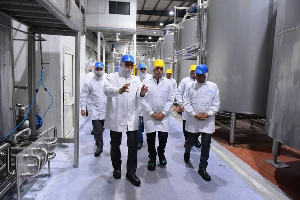 باستثمارات 2.5 مليار جنيه.. وزير العمل يتفقد فرونيري آيس كريم مصر باستثمارات 2.5 مليار جنيه.. وزير العمل يتفقد فرونيري آيس كريم مصر