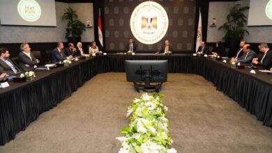 وزيرا الاستثمار والصناعة يبحثان مع بنوك الاستثمار إطلاق صناديق متخصصة لدعم القطاع الصناعي