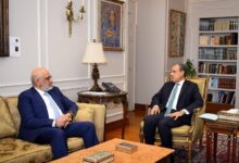 وزير الخارجية يستقبل المدير التنفيذي لمجموعة الدول العربية في البنك الدولي