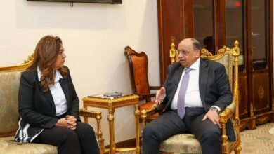 وزيرة التنمية المحلية تستعرض التنفيذي لمنظومة التقنين والتصالح على بعض مخالفات البناء