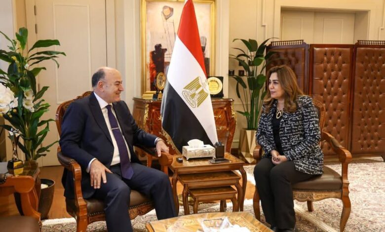 وزيرة التنمية المحلية: تقنين أراضي الدولة ومنظومة المتغيرات المكانية على رأس أولويات العمل وزيرة التنمية المحلية: تقنين أراضي الدولة ومنظومة المتغيرات المكانية على رأس أولويات العمل