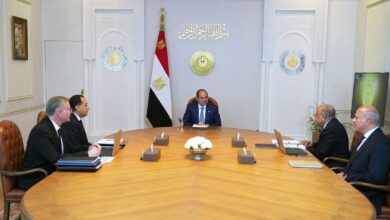 السيسي يترأس اجتماعاً لمتابعة خطط الطاقة والكهرباء واستدامة الإمدادات قبل الصيف