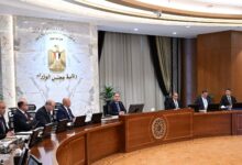 الحكومة تضع خطة شاملة لتوسيع التعاون مع دول القارة الأفريقية