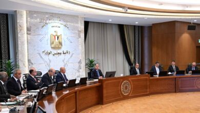 الحكومة تضع خطة شاملة لتوسيع التعاون مع دول القارة الأفريقية