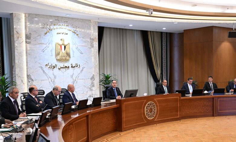 الحكومة تضع خطة شاملة لتوسيع التعاون مع دول القارة الأفريقية